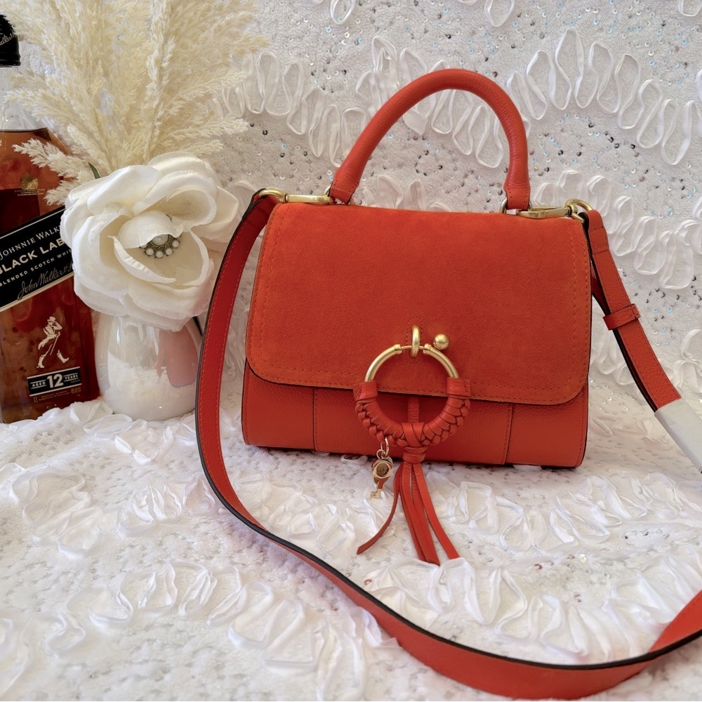 ❤️❤️❤️CHANCE TO WIN❤️❤️❤️This listing is for a chance to win SEE BY CHLOE BAG! - Picture 6 of 11